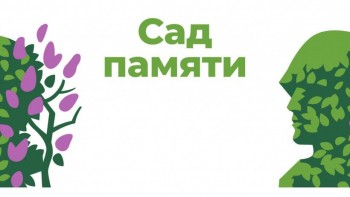 Свыше 700 тысяч деревьев высадили в Нижегородской области в рамках акции "Сад памяти"