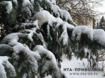 Облачная погода и снег сохранятся в Нижегородской области до конца недели