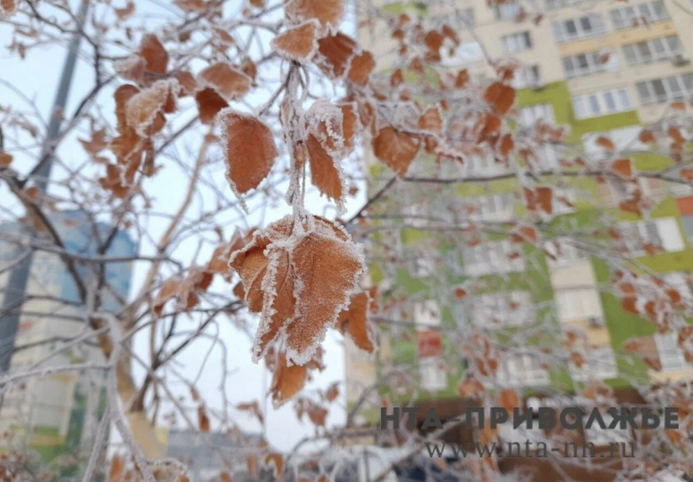 Народные приметы: ноябрь