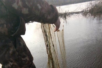 Около 550 м. браконьерских сетей сняты на озерах Варнавинского заказника в Нижегородской области