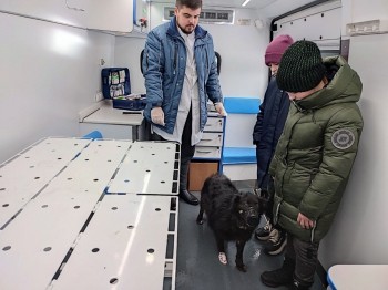 Ветеринарный "поезд здоровья" для животных начал работать в Нижегородской области