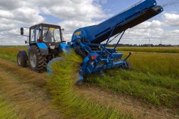 Урожай собран с 84% выделенных под посевы льна площадей Нижегородской области