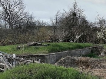 Неиспользуемые 3 года участки нижегородцев признают заброшенными