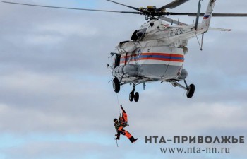 Нижегородского спасателя-парашютиста службы осудили за мошенничество