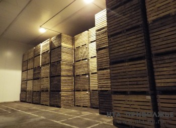 Почти 75 кг санкционных продуктов изъято в нижегородском аэропорту Почти 75 кг санкционных продуктов изъято в нижегородском аэропорту