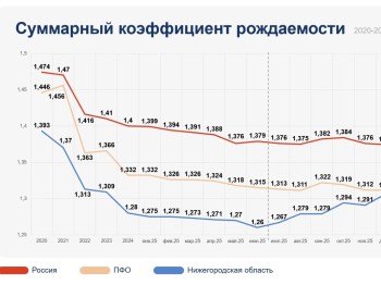 Нижегородская область стала лидером по росту СКР