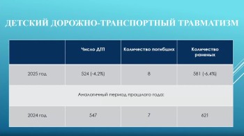 Более 520 ДТП с участием детей произошло в Нижегородской области