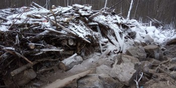 Несанкционированную свалку обнаружили в Балахнинском районе Нижегородской области
