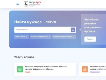 Нижегородцы увеличили использование регионального портала Госуслуг