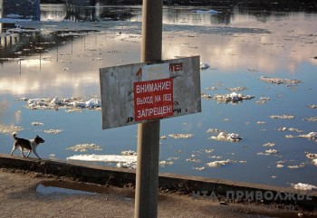 Понтонный мост через Илек демонтируют в Оренбуржье в ближайшие дни