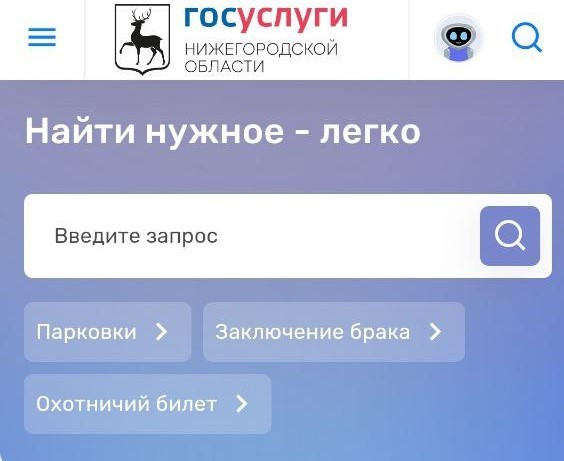 Нижегородцам стало доступно приложение 