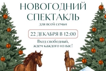 Нижегородцев приглашают на новогодний спектакль для всей семьи на конном манеже