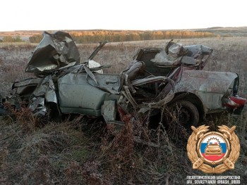 Три человека погибли в ДТП с лошадью в Башкирии Три человека погибли в ДТП с лошадью в Башкирии