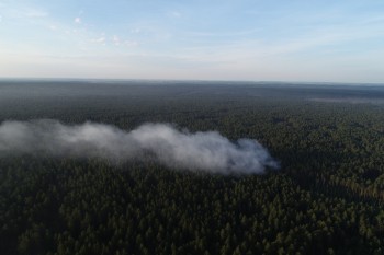Лесной пожар на 1,4 га произошёл в Мордовском заповеднике