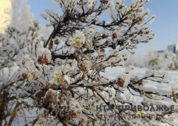 Праздники и приметы: 11 марта