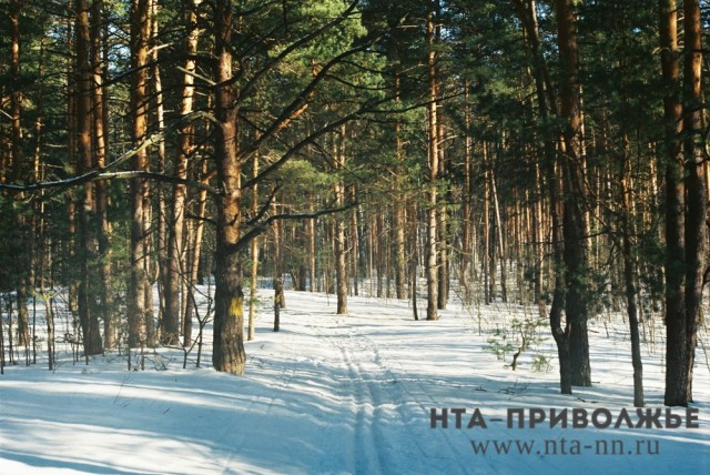 Восемь лыжных трасс подготовят к зимнему сезону в Московском районе Чебоксар
