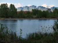 Только в пяти озерах Нижнего Новгорода вода полностью соответствует санитарным нормам