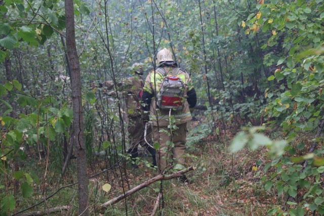Лесные пожары в Нижегородской области локализованы (ВИДЕО)