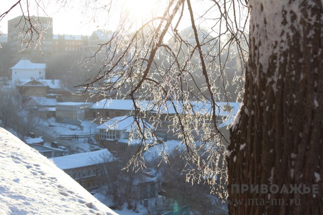Электроснабжение шести районов Нижегородской области наиболее пострадало от ледяного дождя