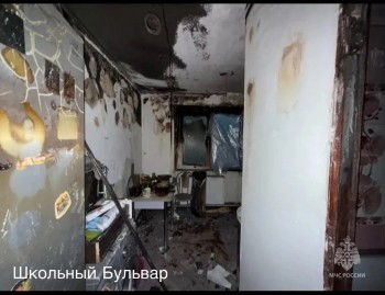 Несколько пожаров произошло за час в Рузаевском районе Мордовии