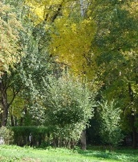 Народные приметы: 6 сентября
