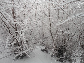 Сильный снег прогнозируют в Нижегородской области с вечера 27 февраля