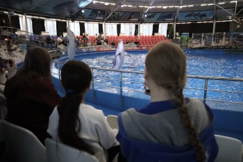 Воспитанники реабилитационного центра в Нижнем Новгороде посетили дельфинарий