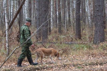 Нижегородский Минлесхоз начал выдавать разрешения на добычу болотно-луговой дичи