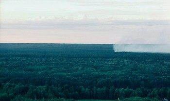 Два лесных пожара ликвидировали в Нижегородской области за сутки