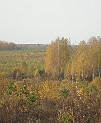 Народные приметы: 2 октября