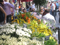 Мэрия Н.Новгорода 20 апреля проведет аукцион на размещение объектов мелкорозничной торговли цветами