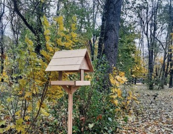 Кормушки для птиц устанавливают в нижегородских парках в преддверии зимы