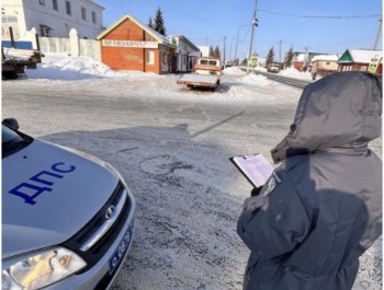 Нелегальную перевозку мелкого рогатого скота пресекли в Чувашии