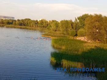 ГЧП по благоустройству Мещерского озера в Нижнем Новгороде отложили