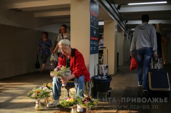 Более 40 торговых площадок для садоводов выделено в Уфе