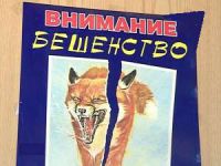 Карантин по бешенству установлен в Дзержинске Нижегородской области до 10 мая