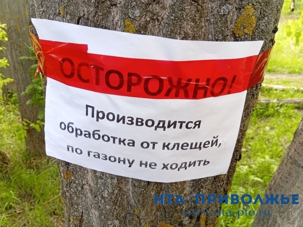 6 случаев иксодового клещевого боррелиоза выявлено в Нижегородской области