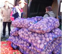 Более 80 тонн сельхозпродукции реализовано за месяц работы ярмарок &quot;Дары осени&quot; жителям Калининского района Чебоксар