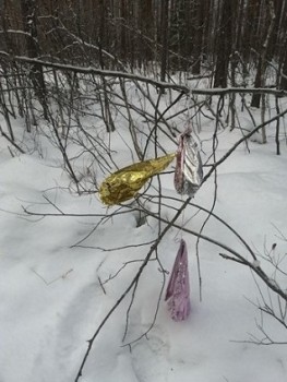 Нижегородцев призвали отказаться от воздушных шаров на выпускные