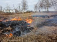 
Пятнадцать случаев загорания мусора за неделю зафиксировано в Нижегородской области
