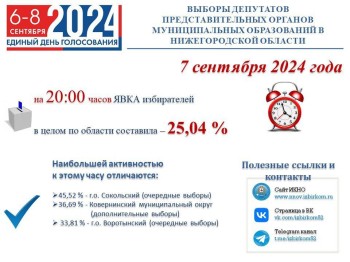 Явка на выборах в Нижегородской области по итогам второго дня превысила 25%