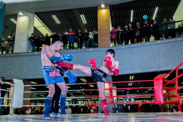 Турнир по тайскому  боксу "Альфа-боец" пройдет в ТРК "НЕБО" в Нижнем Новгороде 23 февраля