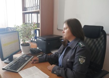 Незаконную торговлю ветпрепаратами выявили на 102 сайтах в Ульяновской области