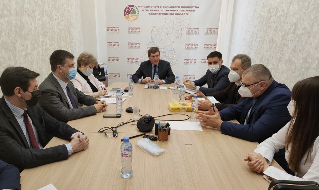 Нижегородские фермеры планируют начать экспорт меда в 2022 году