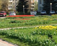 В Нижегородской области в выходные будет жарко, возможны грозы