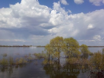 Теплоход будет курсировать между Нижним Новгородом и Бором этим летом