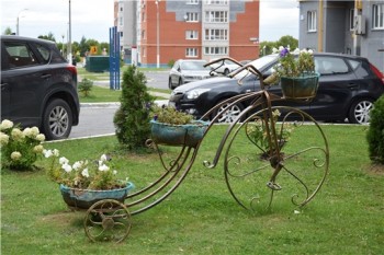 Конкурс на лучшее озеленение стартовал в Чебоксарах