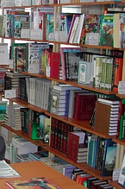 В Нижегородской области различными видами библиотечного обслуживания охвачено 60-70% детей - директор НГОДБ Бочкарева