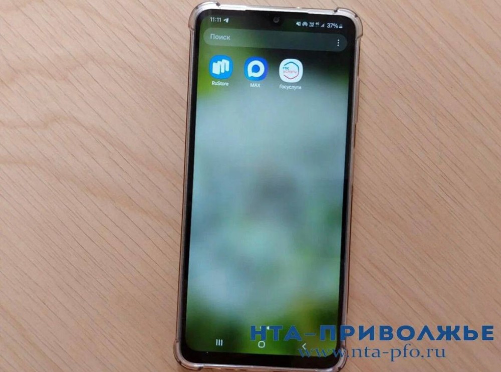 "Антибот" для бесперебойного доступа к интернету запустят в Чувашии