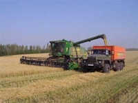 Почти на 23% больше зерна планируется собрать в Нижегородской области в 2015 году по сравнению с прошлым годом 